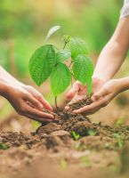 Ecologie Ecologie