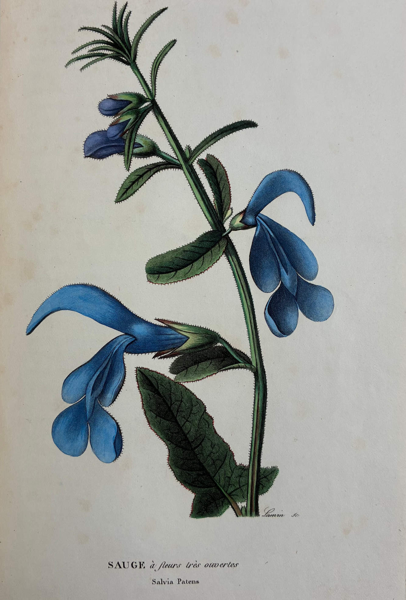 En mars, le patrimoine célèbre le printemps des poètes.