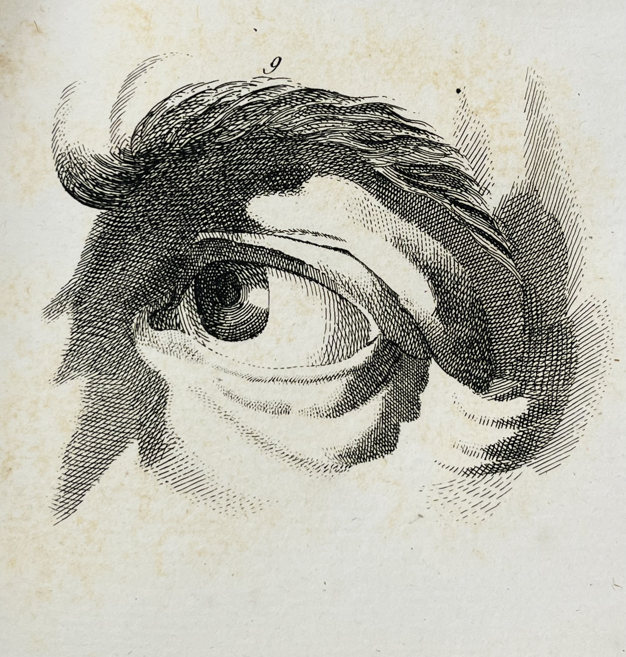 Cet automne, le patrimoine nous donne à voir et ressentir !