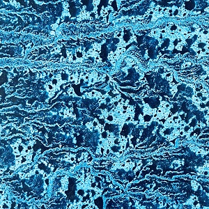 "La Libleuté" : la nouvelle exposition patrimoniale. Du mardi 17 mars au samedi 18 avril.